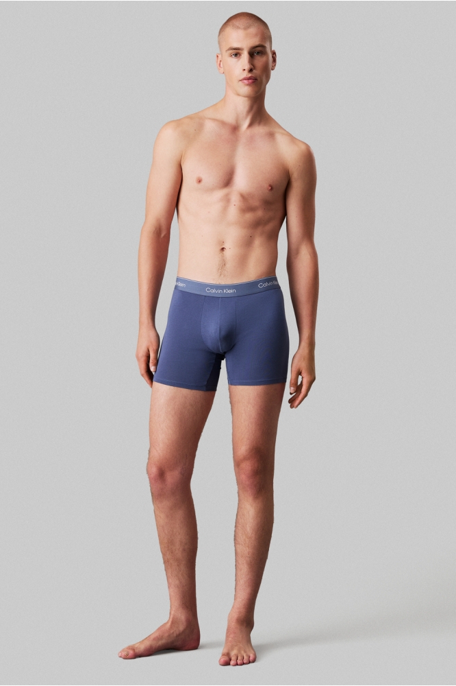 BOXER BRIEF 3PK LV00NB4394 VNTG INDG/MCR CHP/MLTN W/ DTM WB